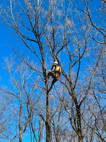 インフラ施設の保守